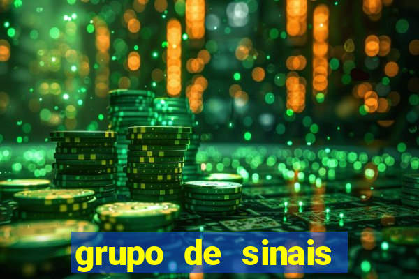 grupo de sinais fortune rabbit